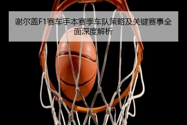 谢尔盖F1赛车手本赛季车队策略及关键赛事全面深度解析
